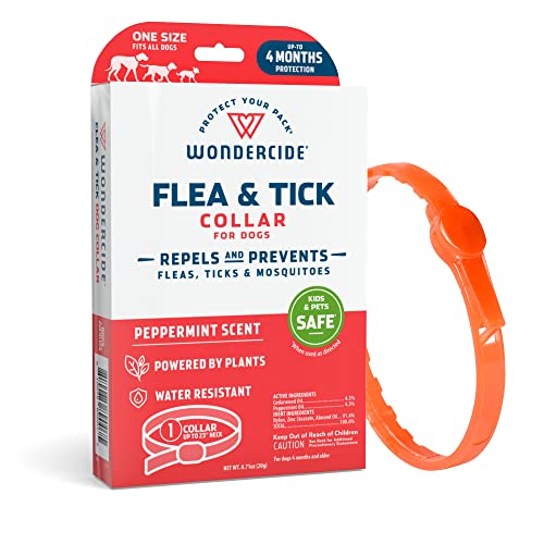 Best All Natural Flea And Tick Collar For Dogs 2023 Updated Taste